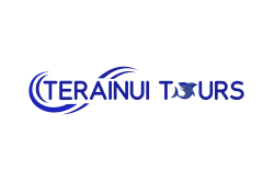 TERAINUI